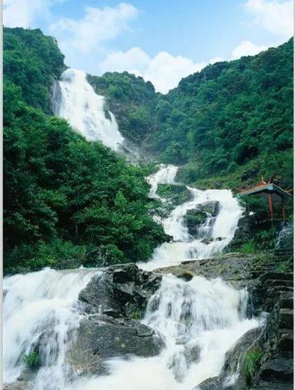 志安在台湾做上节目后,被人肉被网暴,志安在日本公司地址、法人信息泄漏