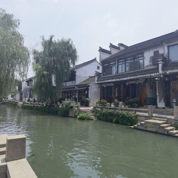 发烧只能去大医院,排队好几个小时?社区卫生中心如何更好发挥作用,施政、张文宏说→